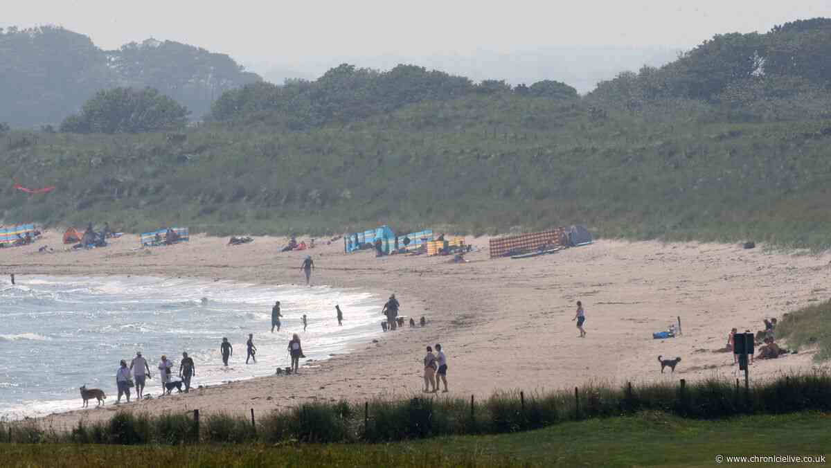 Record number of tourists visit Northumberland as millions flock to county