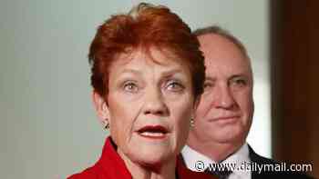 Pauline Hanson defends $2.3million 'fire the liar' windfall after Albanese questioned authenticity of donations