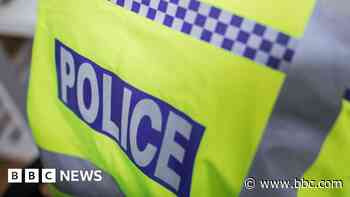 Appeal after woman dies following two-car crash