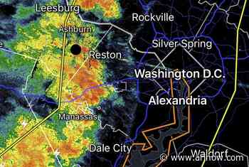 WEATHER ALERT: Severe Thunderstorm Warning issued for Arlington