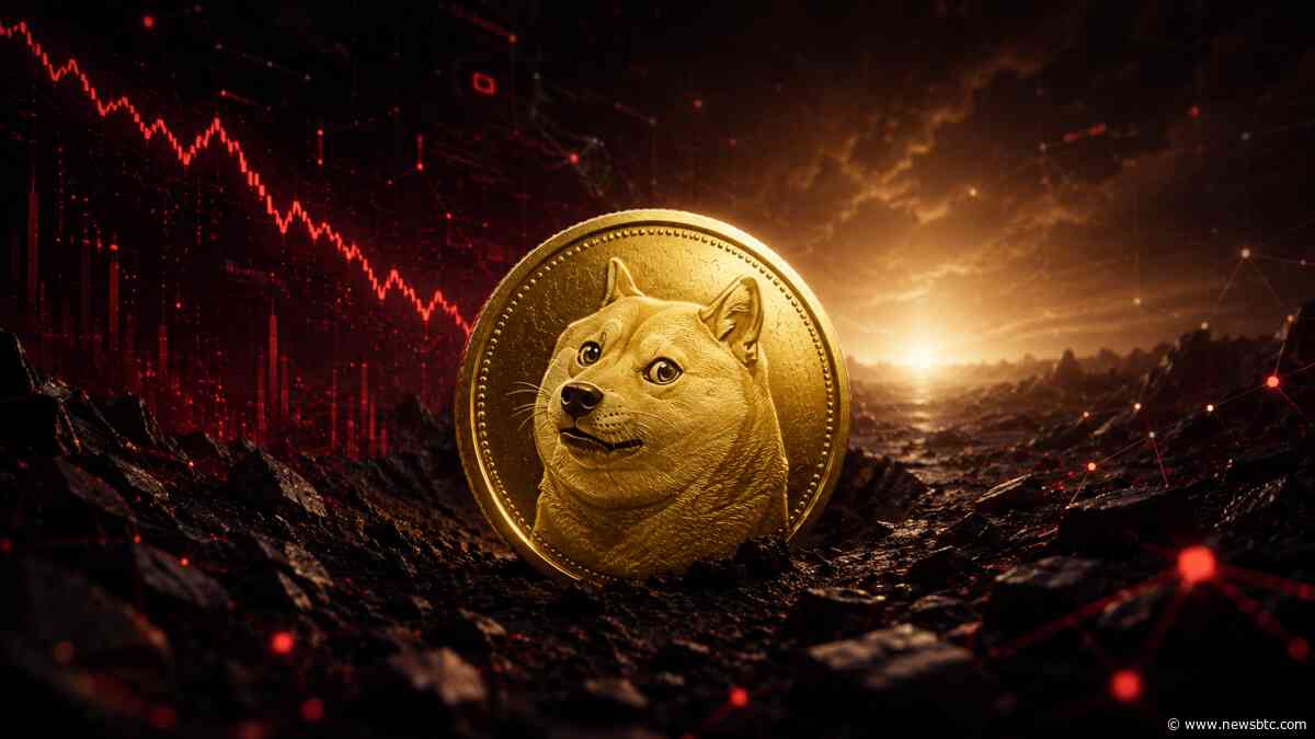 Dogecoin Just Hit A Rare Capitulation Signal: What It Means For DOGE