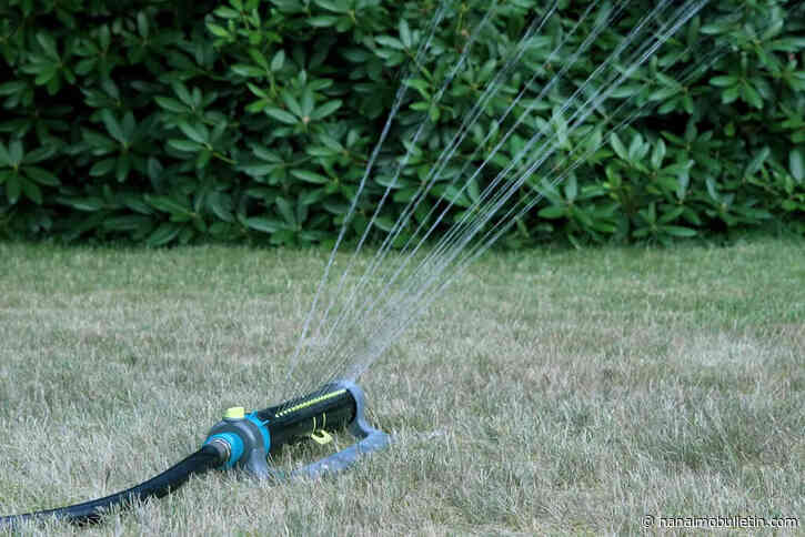 RDN launches Stage 3 outdoor watering restrictions
