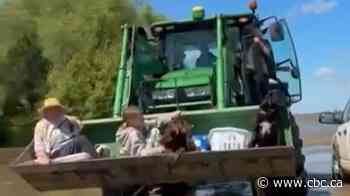 Swan River family nearly swept away in flood