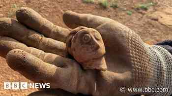 Dig site offers 'window' into Roman life