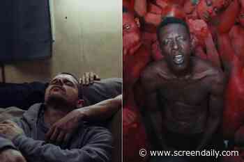 ‘Labrador – Autopsy Of Silence’, ‘Jail Time Records’ earn three Tribeca awards apiece