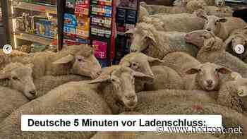 Best Case: Wie Penny mit Echtzeit-Kommunikation brillierte