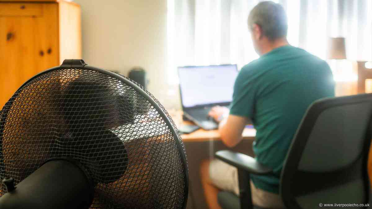 HR expert explains your rights to stop working in a heatwave