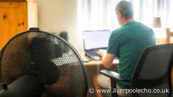 HR expert explains your rights to stop working in a heatwave