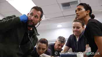 'Intense and relentless' medical drama with 96% rating is now streaming
