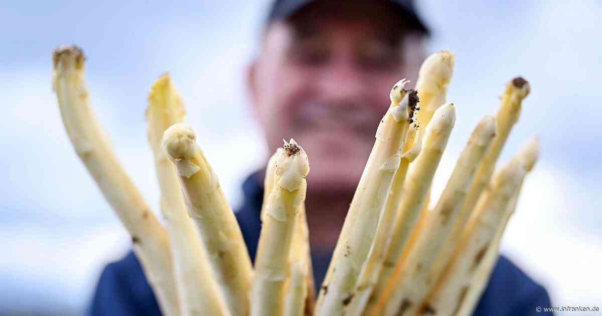 Letzte Chance: So viel kostet Spargel zum Saisonende