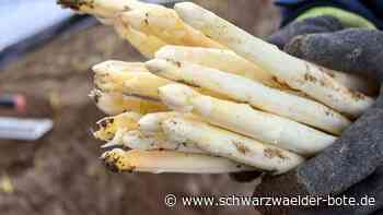 Lebensmittel: Letzte Chance – So viel kostet Spargel zum Saisonende