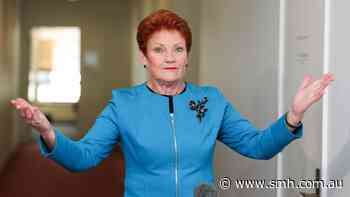 Hanson scoffs at Albanese’s scepticism of One Nation fundraising, releases audit