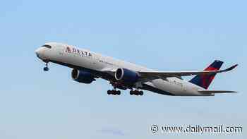 Delta plane diverted after passenger slaps flight attendant's butt during dispute over drinks