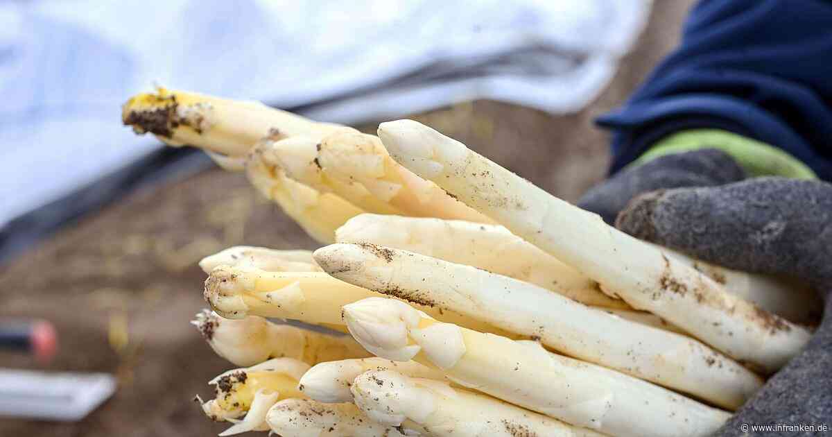 Letzte Chance: So viel kostet Spargel zum Saisonende