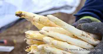 Letzte Chance: So viel kostet Spargel zum Saisonende