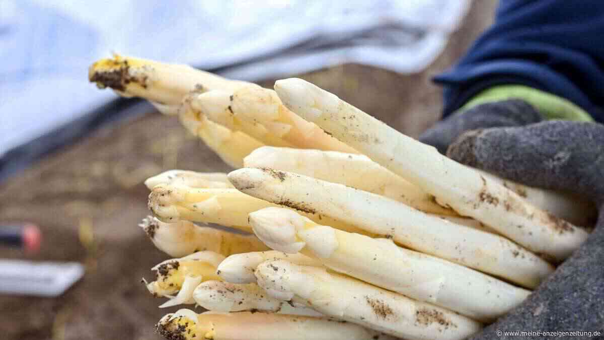 Letzte Chance: So viel kostet Spargel zum Saisonende