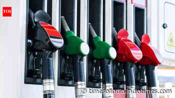Govt bars industries from buying petrol, diesel at pumps; mandates bulk purchase route