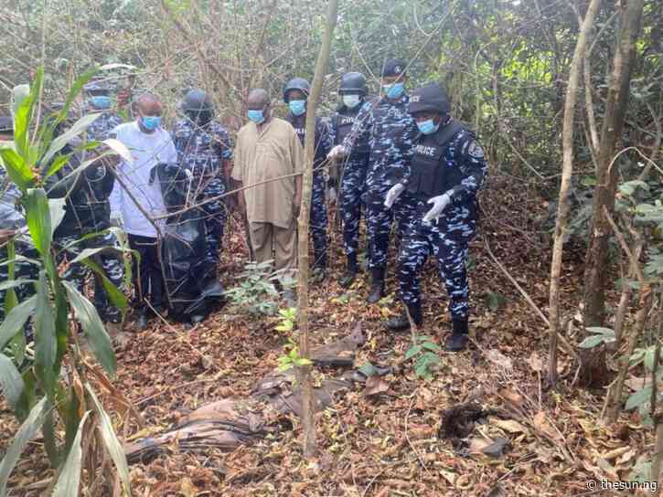 Kidnapping: Police arrest 4 suspects in Imo forest