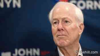 Cornyn predicts post-midterms will be 'most miserable two years' of Trump's life