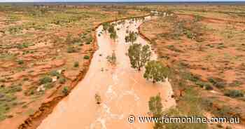 Far western country with feed and water sold at auction | Photos