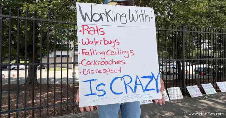 IRS employees protest rat infestation at Chamblee campus; agency announces telework option: "We looked at each other. I screamed, he screamed."