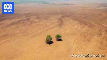 NT government says Claravale land-clearing dispute is now settled