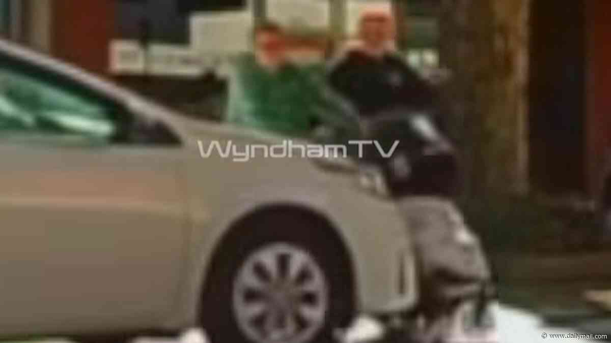 Watch the wild moment motorist collides with a PRAM on a pedestrian crossing... and then continues driving