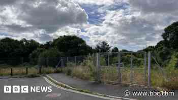 Fishing firm to build new plant as sale approved