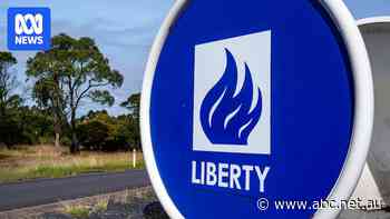Smelter left in limbo after consortium member effectively pulls out of bid