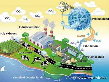 Aus Lebensmittelabfall wird CO₂-Fänger