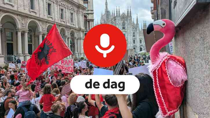 Podcast De Dag: Het groeiende flamingoprotest in Albanië