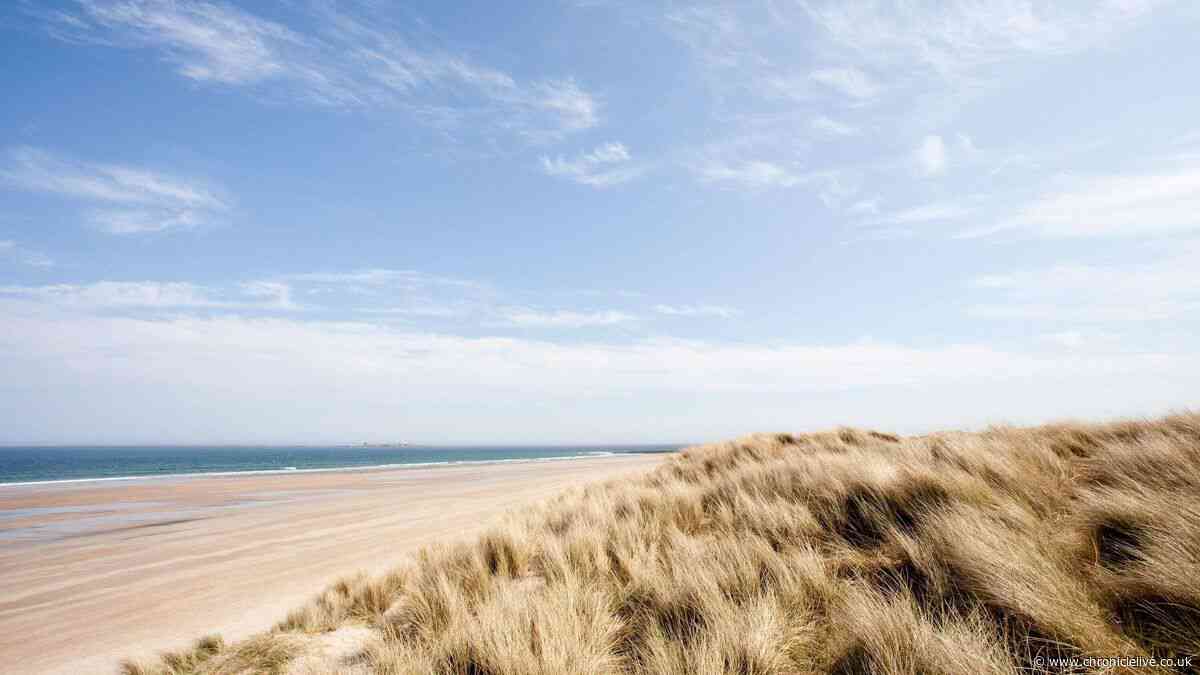 The North East beach named 'one of the most spectacular places in England'