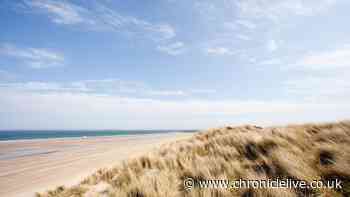 The North East beach named 'one of the most spectacular places in England'