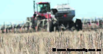 How much land will be seeded to crop this year? Latest report has the details