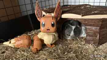 LEGO Pokemon Eevee 72151