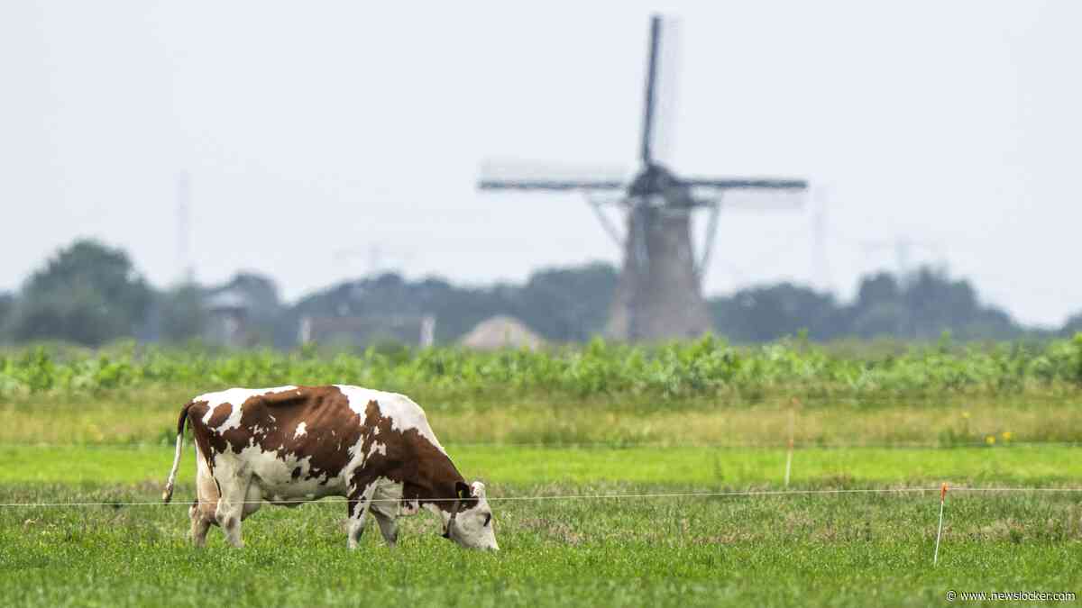 Lezers: ’We weten allemaal dat D66 niet zoveel waarde hecht aan de voedselproductie in ons land’