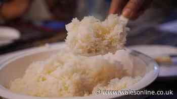 Rice is perfectly fluffy every time by adding 1 common ingredient