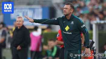 Socceroos coach Tony Popovic signs extension through to Asian Cup