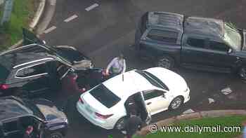 Revealed: Dramatic moment cops take down teenage suspect after machete fears locked down school