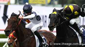 Tips and race-by-race guide for Rosehill on Saturday