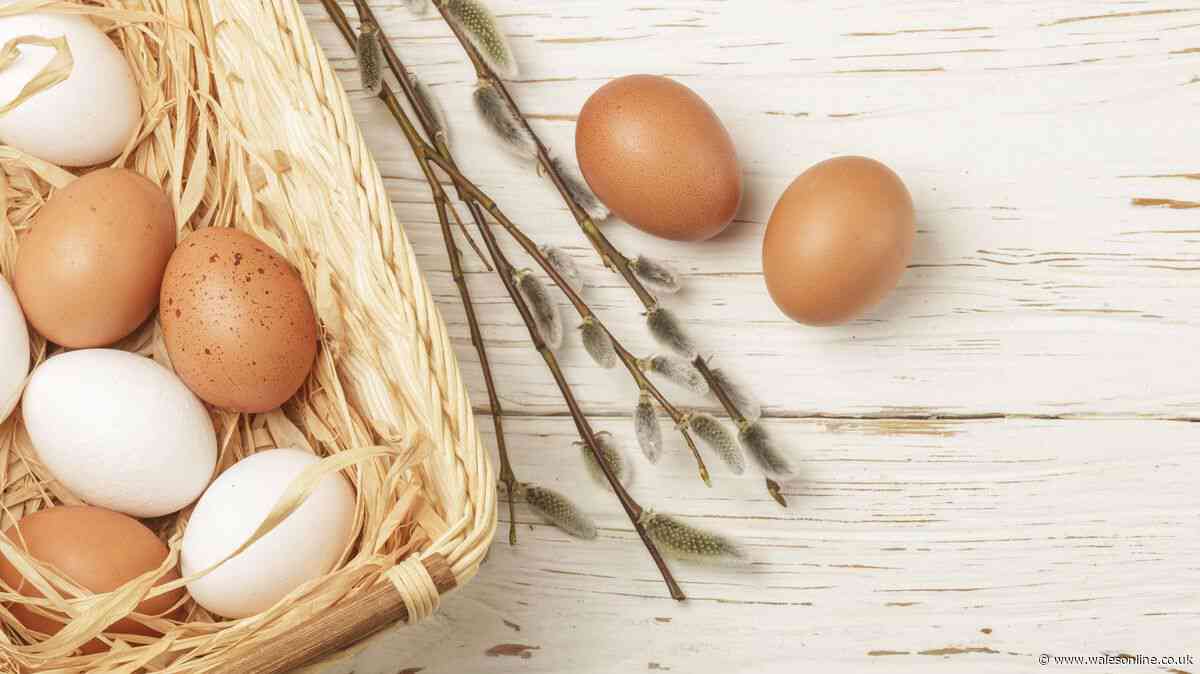 I asked experts the difference between white and brown eggs — all said the same thing