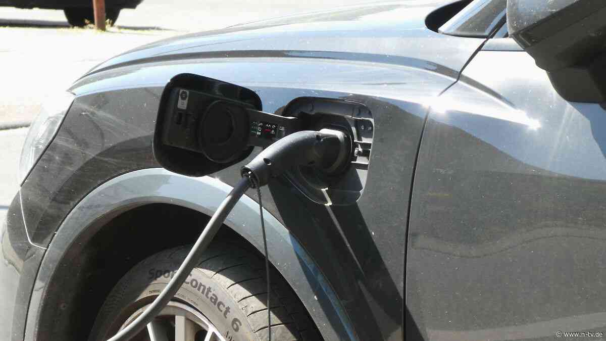 Umweltminister ist zufrieden: Mehr als 50.000 Haushalte beantragen E-Auto-Prämie