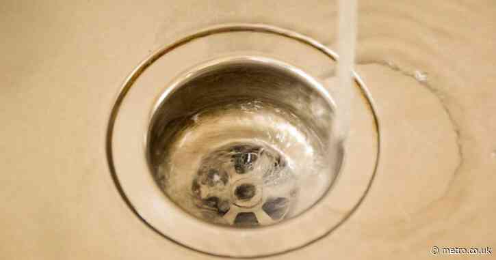 Inside the 49,000-member movement dedicated to peeing in the sink