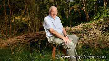 Cat owners urged by David Attenborough to make 1 simple change immediately