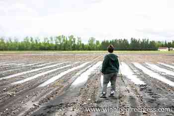 ‘Going to be a disaster of a summer’
