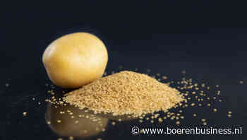Hybride ras is 'keerpunt in aardappelproductie'