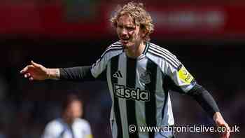 Nick Woltemade makes clear plea over position at Newcastle United