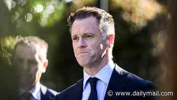 Labor Premier Chris Minns breaks ranks to slam Anthony Albanese's government AGAIN