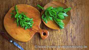 Liebstöckel-Salz selber machen: So gelingt aromatisches Maggikraut-Würzsalz