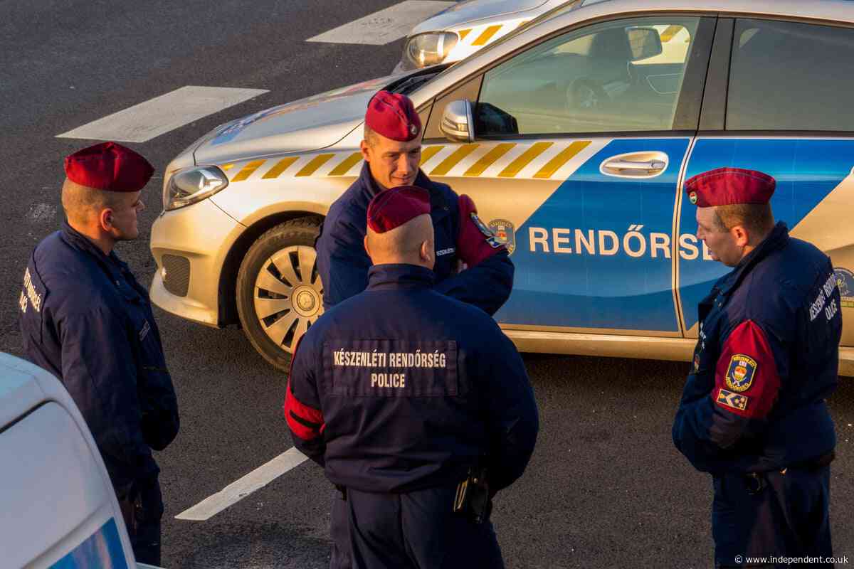Seven killed in Hungary collision as truck idles in traffic caused by earlier crash